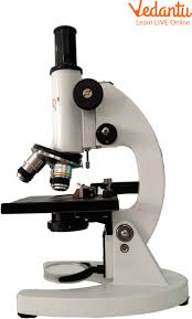 Microscopes
