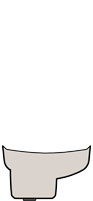 DeFelsko PRBFN | PosiTector 6000 FN Probe Only | Ferrous/Non-Ferrous, 0–1500 µm, Integral - generaltechuae (2)