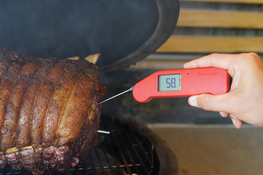 ETI 236-477 | Thermapen NANO | Black, 0.4-Second Reading, IP67 - generaltechuae (2)