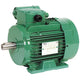 Leroy Somer - 4P LSES 132 M 7.5kW IFT /IE2 380D/400D/415D-460D IP55