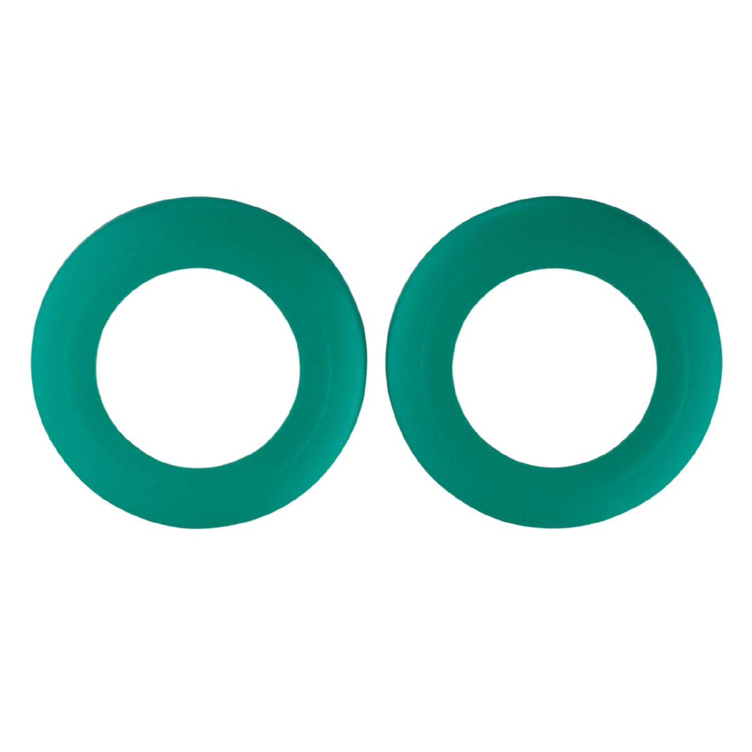 ifm E80373, Guard Ring