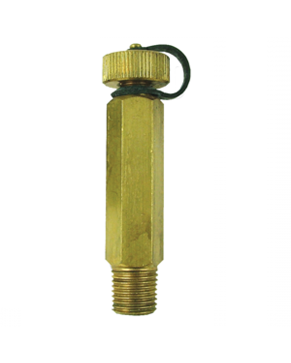 Brannan 39/313/0 | Self-Sealing Test Plug | 1/4" BSPT M, 50 mm lagging extension, brass - generaltechuae (2)