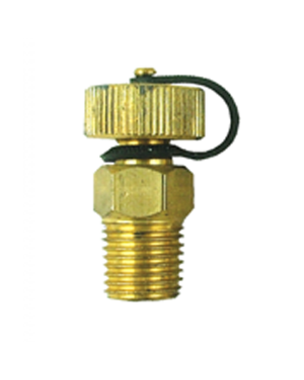 Brannan 39/313/0 | Self-Sealing Test Plug | 1/4" BSPT M, 50 mm lagging extension, brass - generaltechuae