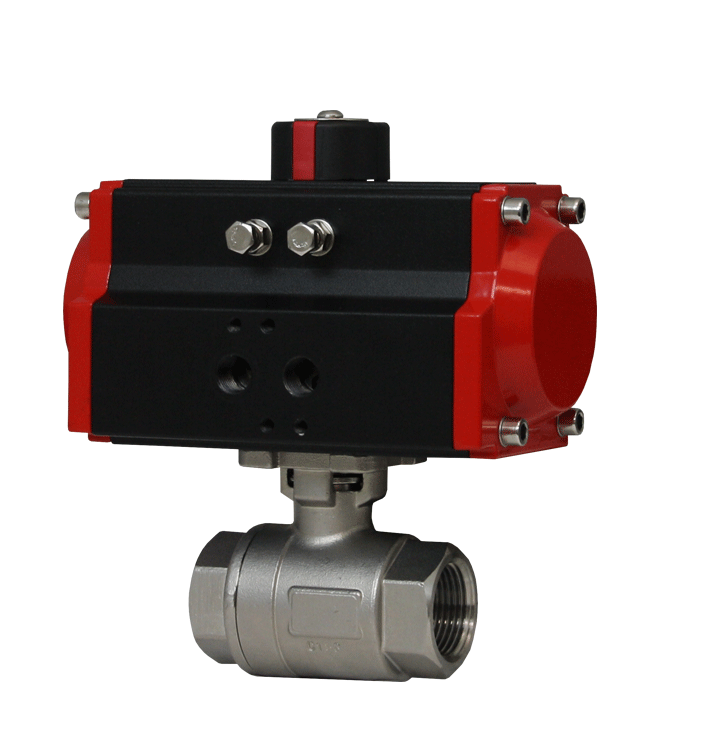 Dwyer Instruments WE01 | 2-Piece NPT stainless steel ball valve - generaltechuae