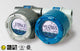 FLUIDWELL E110 Explosion proof - Flow Logger / Totalizer | with analog and pulse signal outputs - generaltechuae