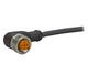 M12 Sensor cable ifm electronic EVC009 - generaltechuae