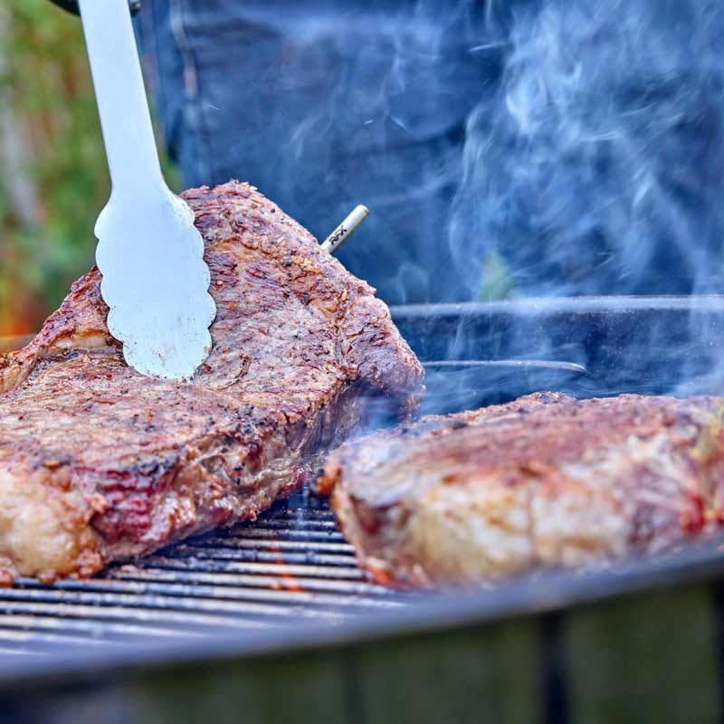 ETI 860-187 | RFX Thermapen ONE Kit | RFX MEAT, GATEWAY & Thermapen ONE - generaltechuae (3)