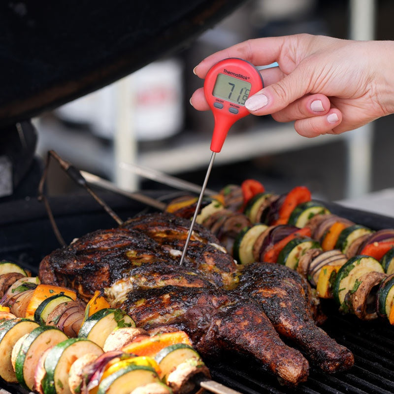 ETI 810-404 | ThermaStick Pocket Thermometer | Red, IP66, -49.9 to 299.9 °C - generaltechuae (5)