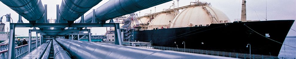 Dakota T-001-3000 | 7.5 MHz Dual Element Transducer | 3/16 in, Potted Top - generaltechuae (2)